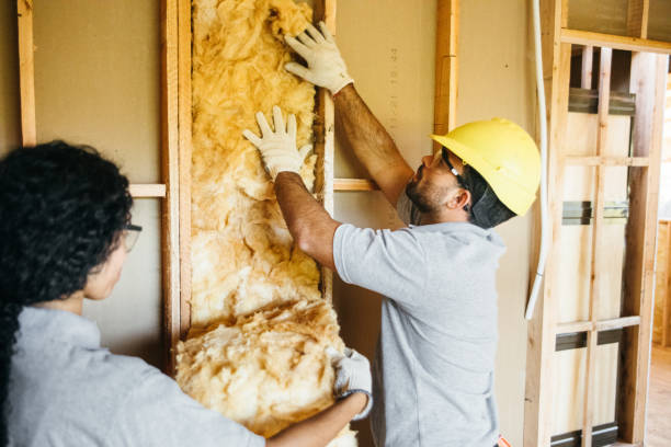 Best Garage Insulation  in Morrison, IL